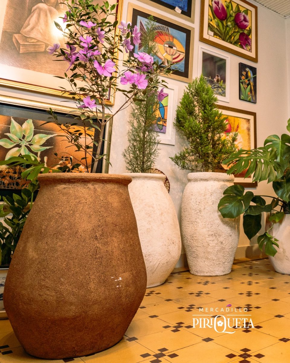 Plantera Arenada Marrón